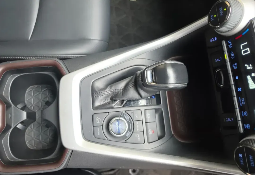 Toyota RAV4 XLE Premium AWD 2020 Black