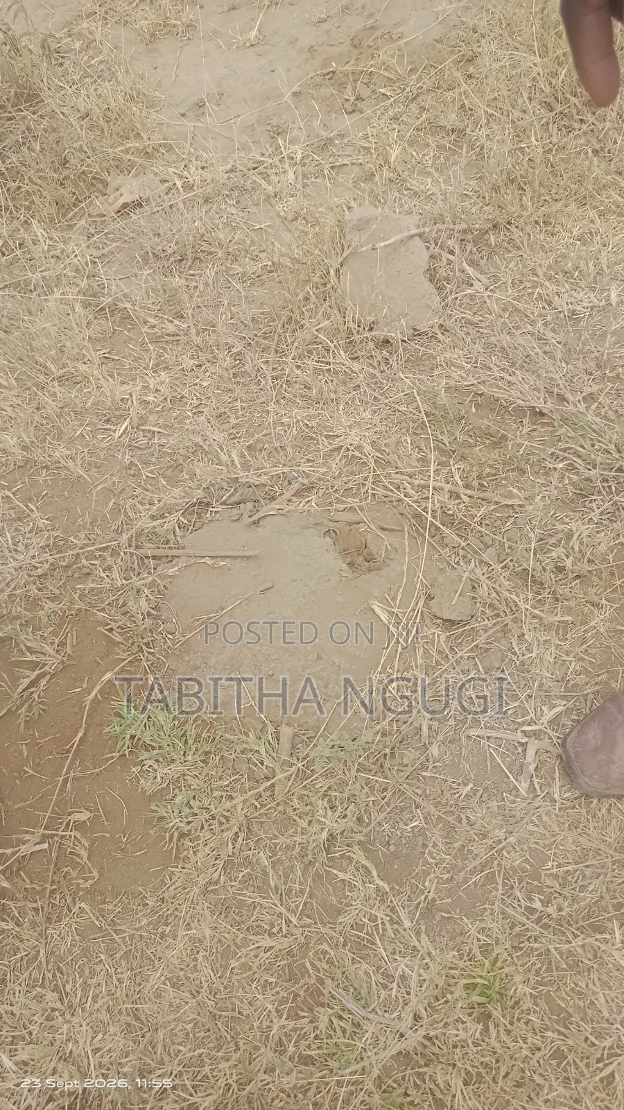 50 Acrs Along Maimahiu -Naivasha.Just Before longonot.Touching Tarmac.