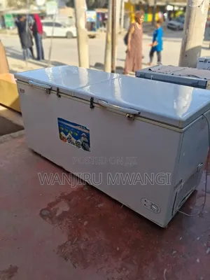 Premier Double Door Freezer (500litres)