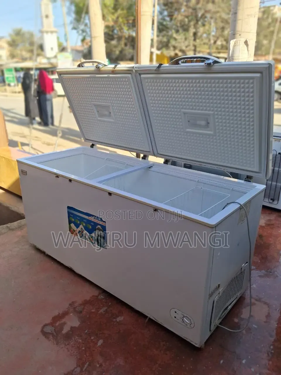 Premier Double Door Freezer (500litres)