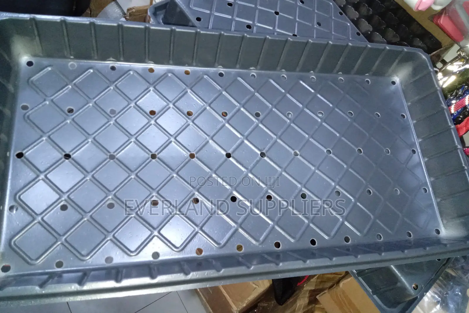 Seedling Trays With Open Drainage Bases - With Holes