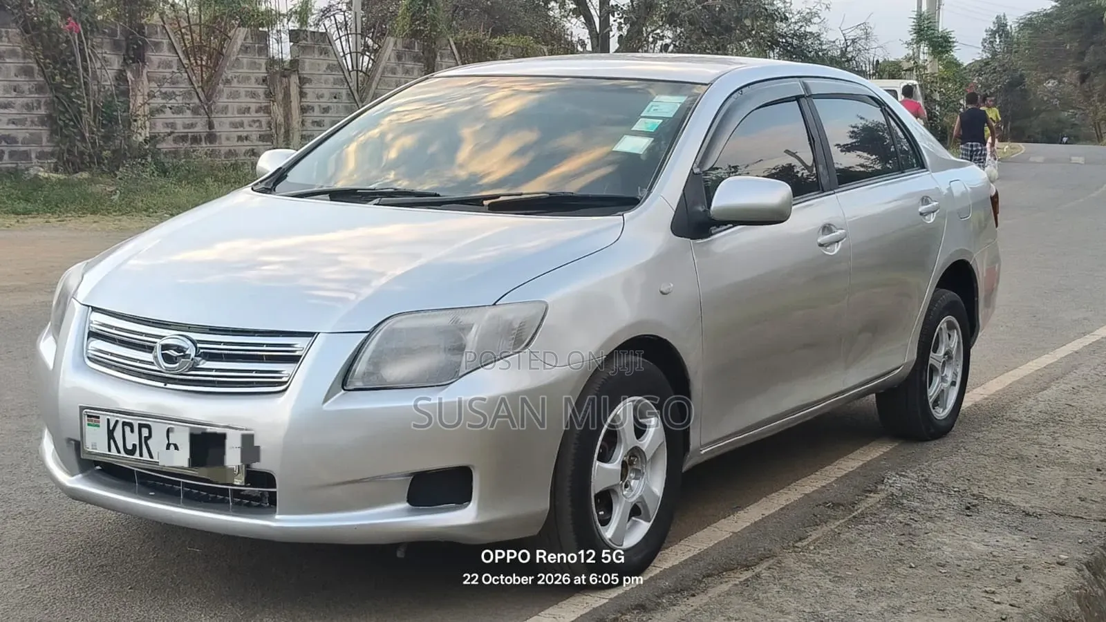 Toyota Axio 2011 Gray