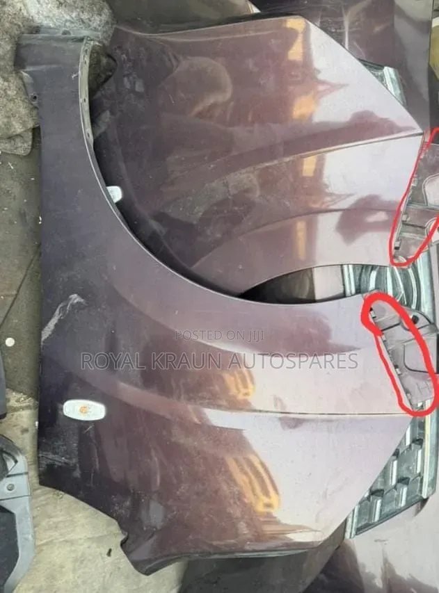 Daihatsu Move Front Wings
