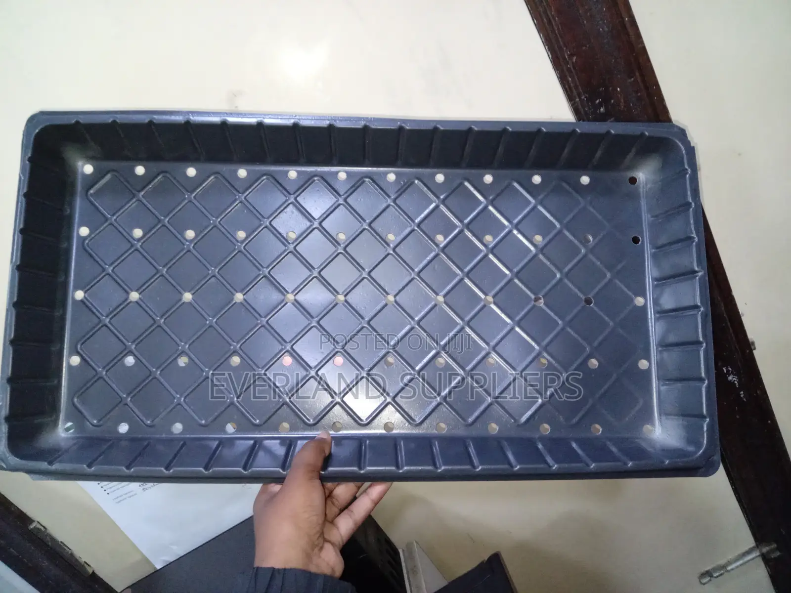 Multi-Hole Seed Starting Trays - With Holes