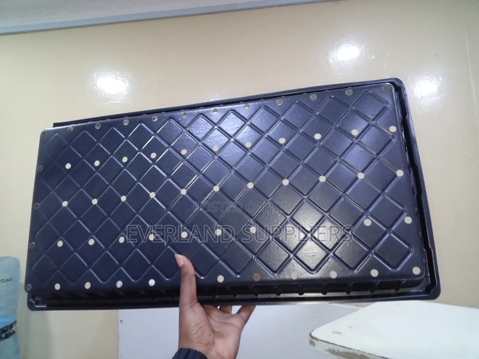 Seedling Trays With Open Drainage - With Holes