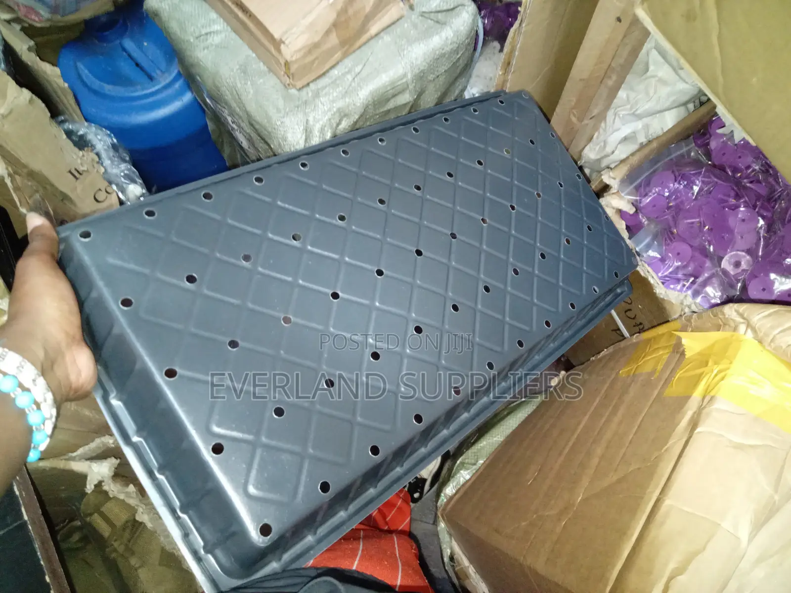 Perforated Microgreen Growing Trays - With Holes