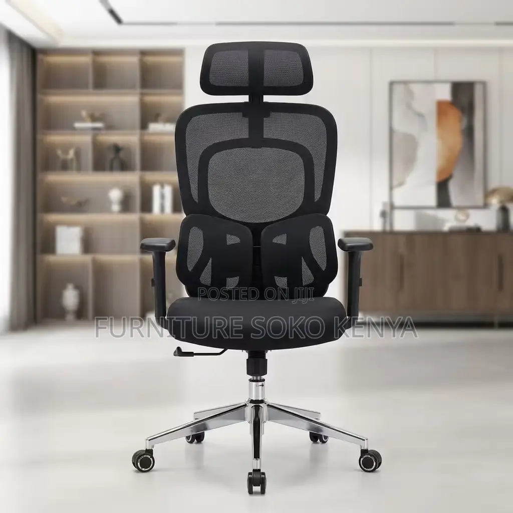 Executive Fabric Chairs | Orthopedic Dual Backrest Chair