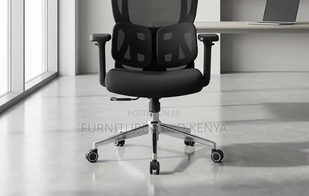 Executive Fabric Chairs | Orthopedic Dual Backrest Chair