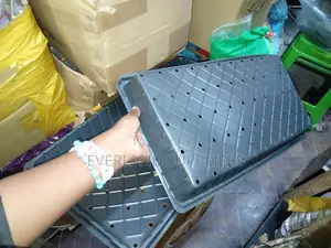 Perforated Trays for Young Herbs - With Holes