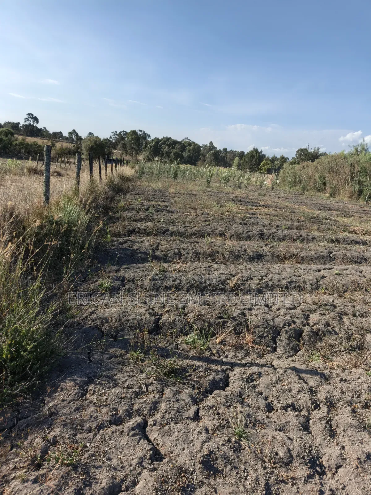 1acre Land for Sale in Naromoru