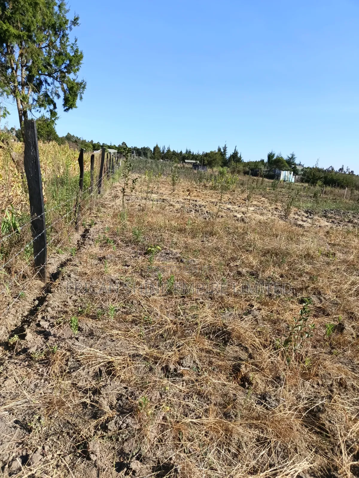 1acre Land for Sale in Naromoru
