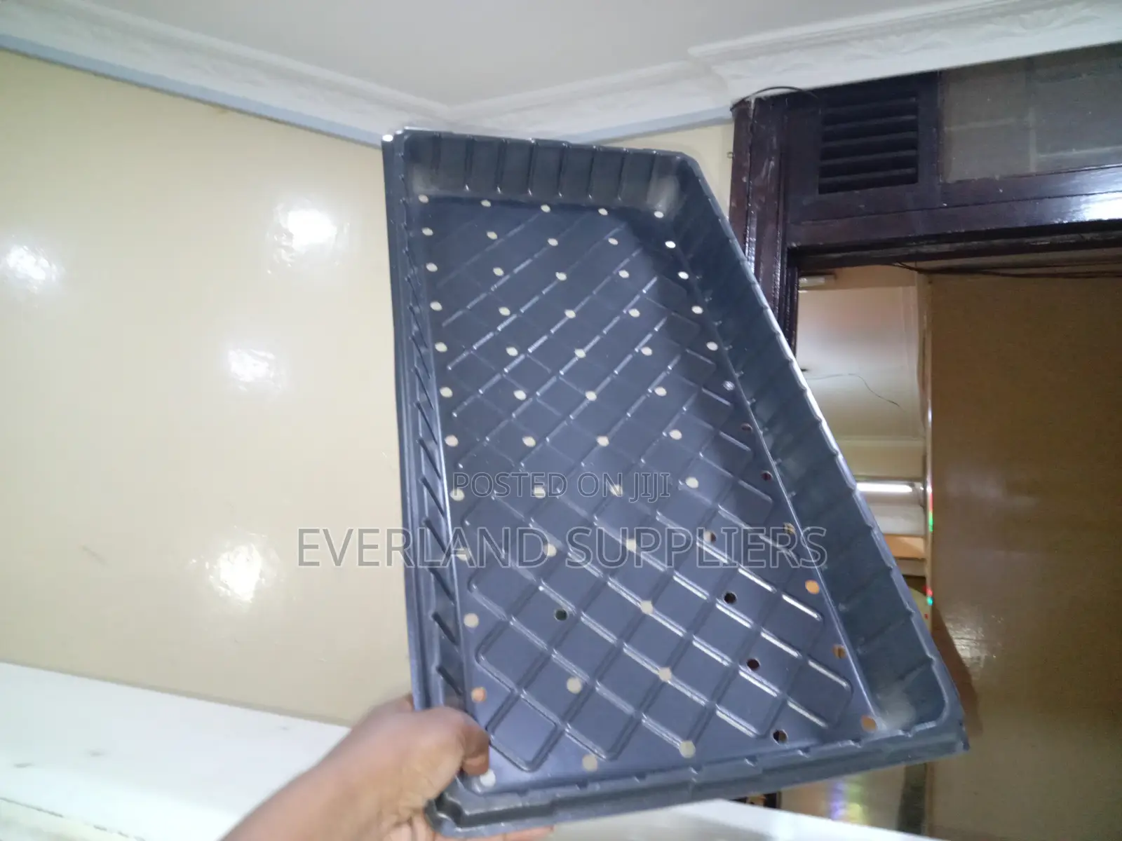 Plant Growing Trays With Perforated Bases - With Holes