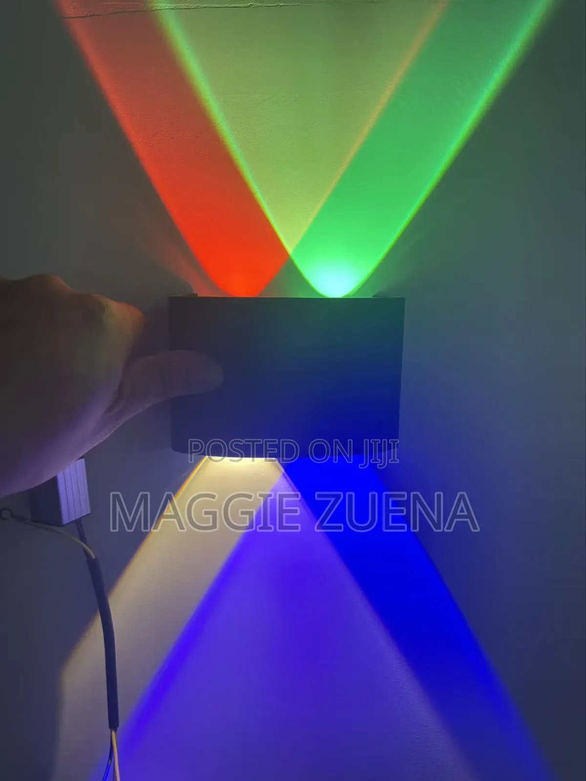Indoor/Outdoor Wall Light