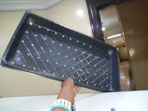 Greenhouse Seedling Trays With Holes