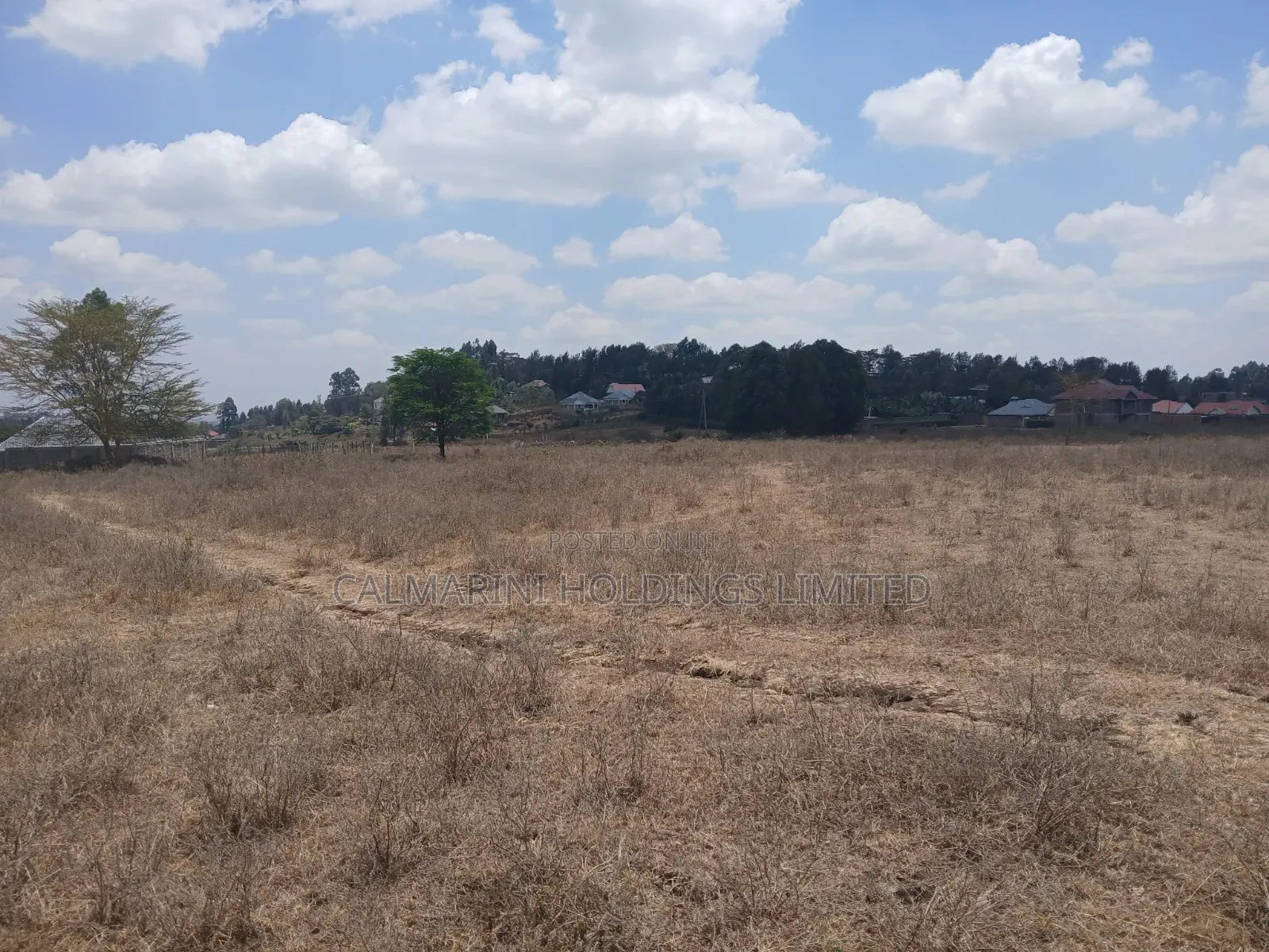 Quick Distress DealPrime Half Acre in Matasia, Ngong at Kes 5.6M