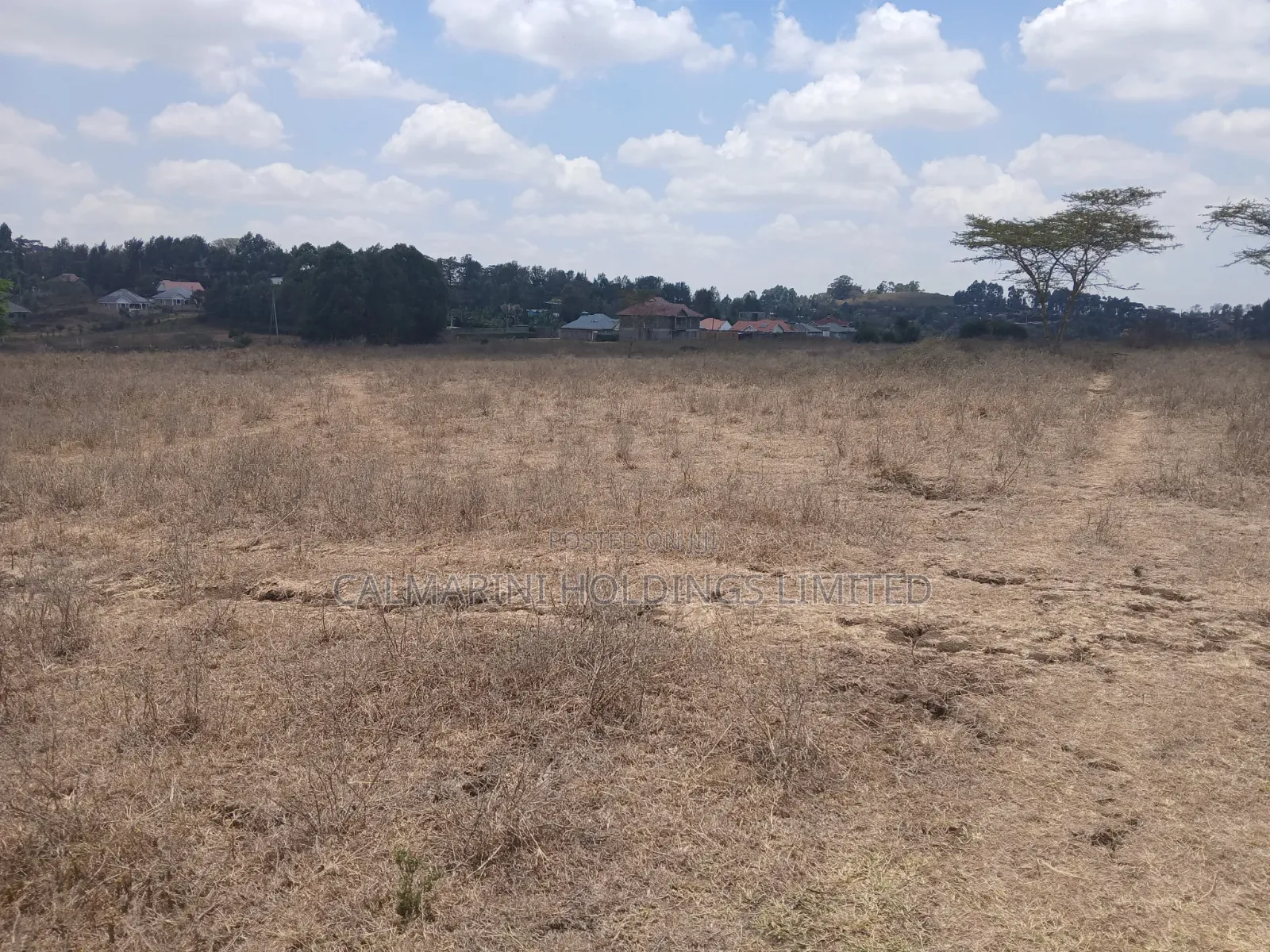 Quick Distress DealPrime Half Acre in Matasia, Ngong at Kes 5.6M