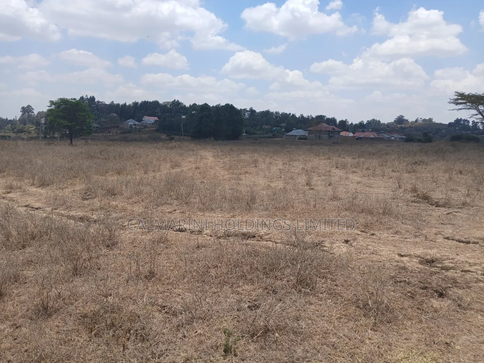 Quick Distress DealPrime Half Acre in Matasia, Ngong at Kes 5.6M