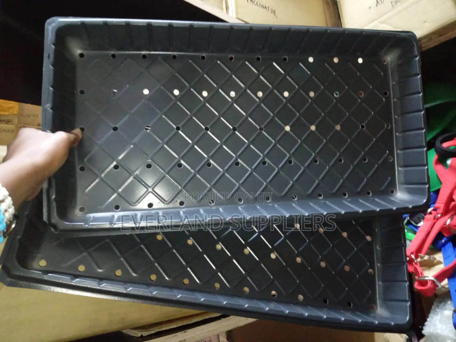 Hydroponic Trays for Efficient Planting - With Holes