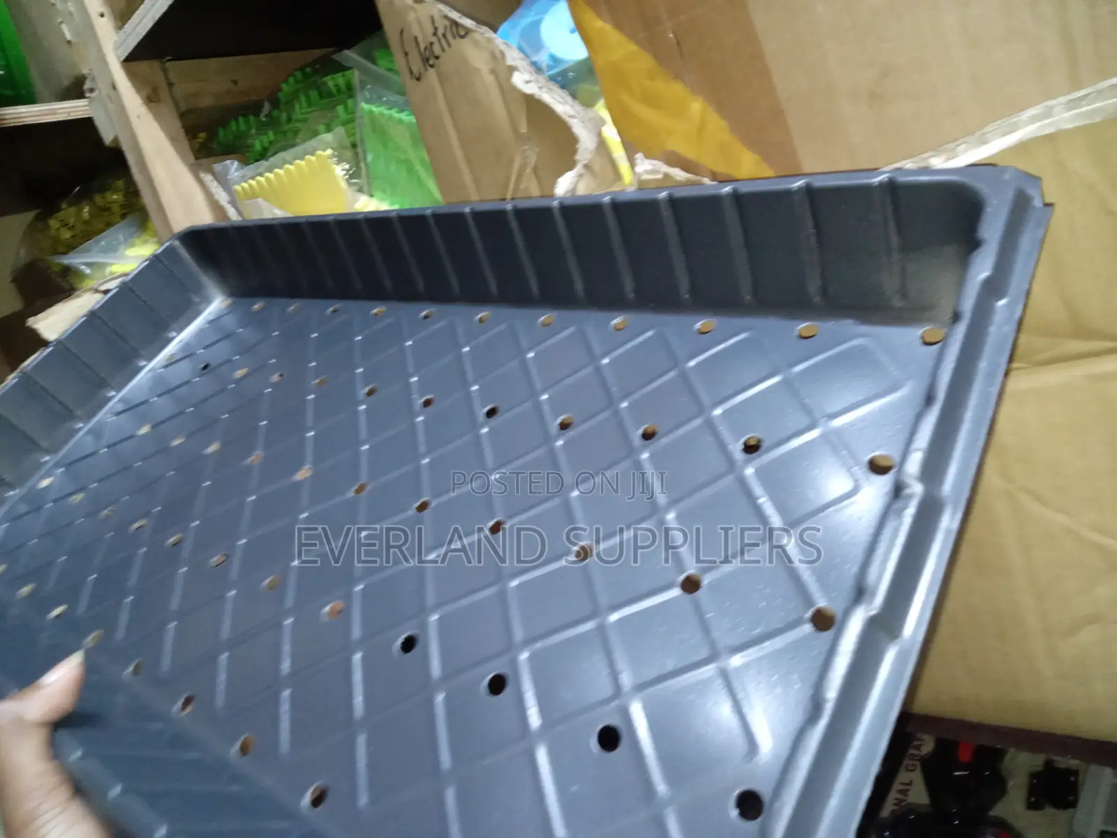 Hydroponic Trays for Seedling Transitions