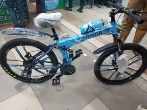 Size 29 Tanda Foldable Chrome Rims