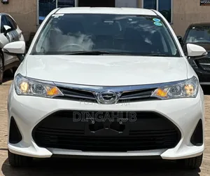 Toyota Corolla Fielder 2019 White