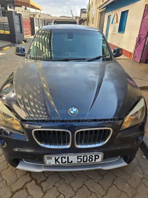 BMW X1 2011 Blue