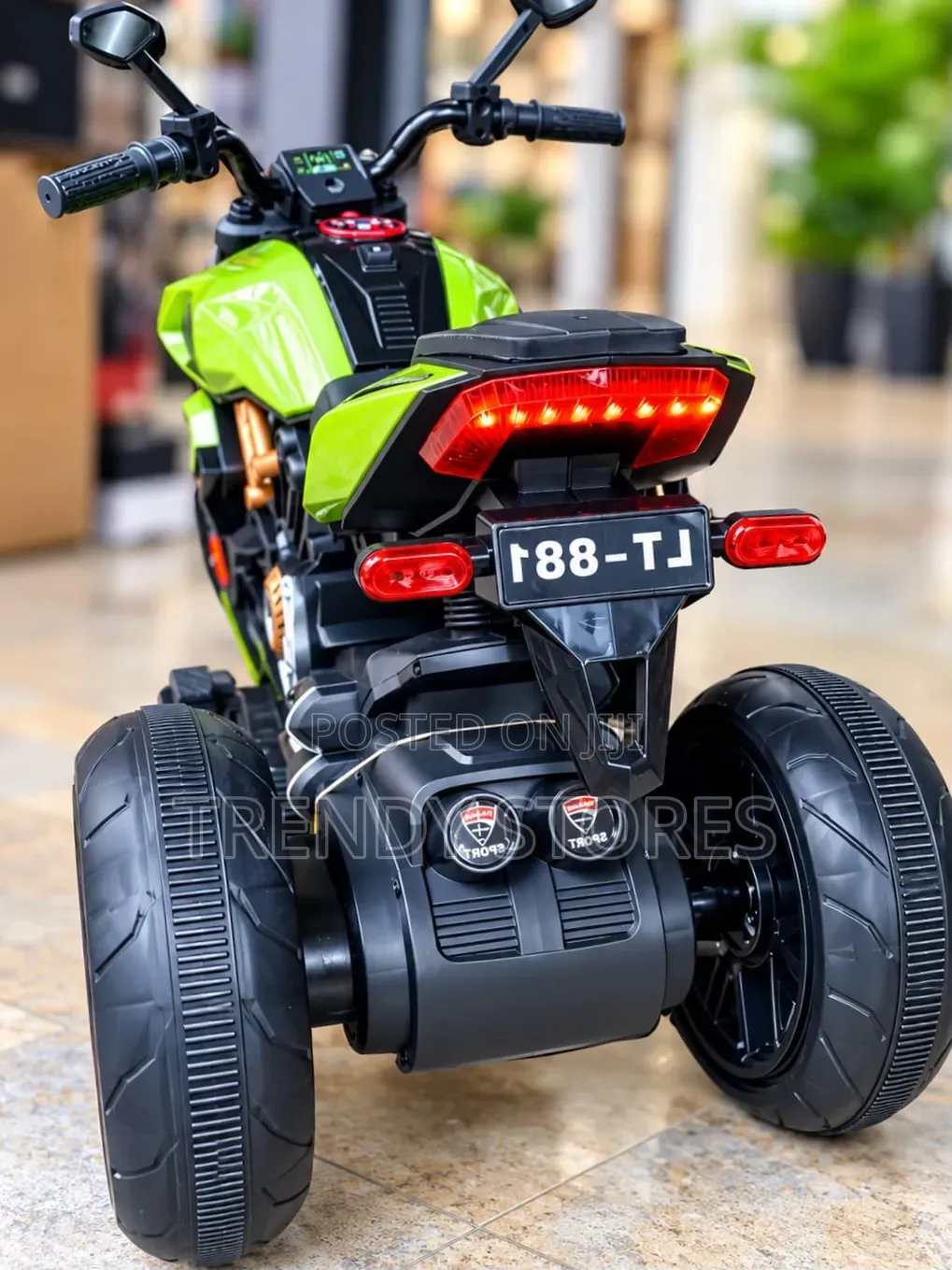 Sporty Electric Bike