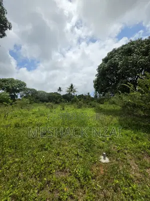 Malindi Kizingo ; 4 Acres.
