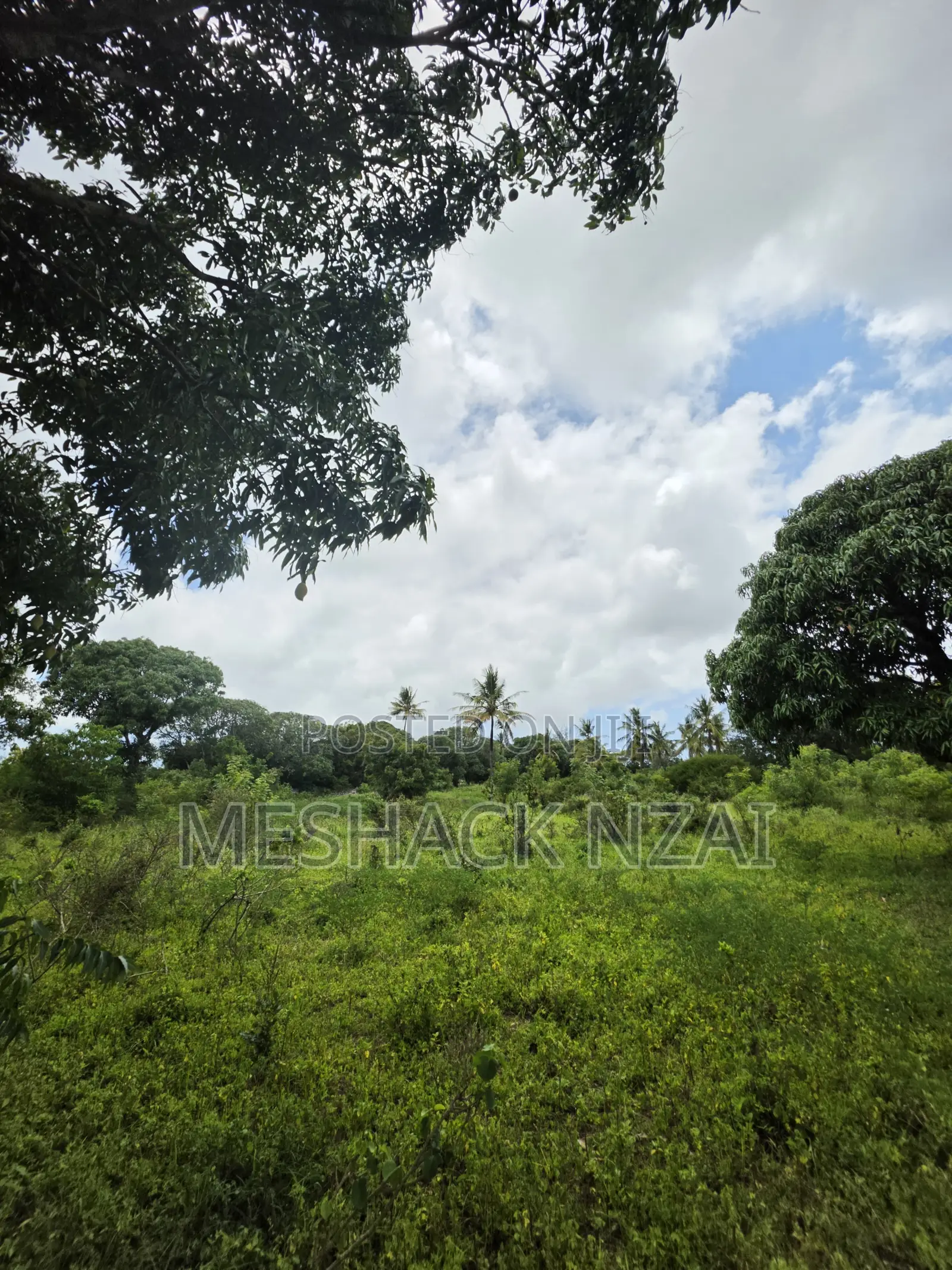 Malindi Kizingo ; 4 Acres.