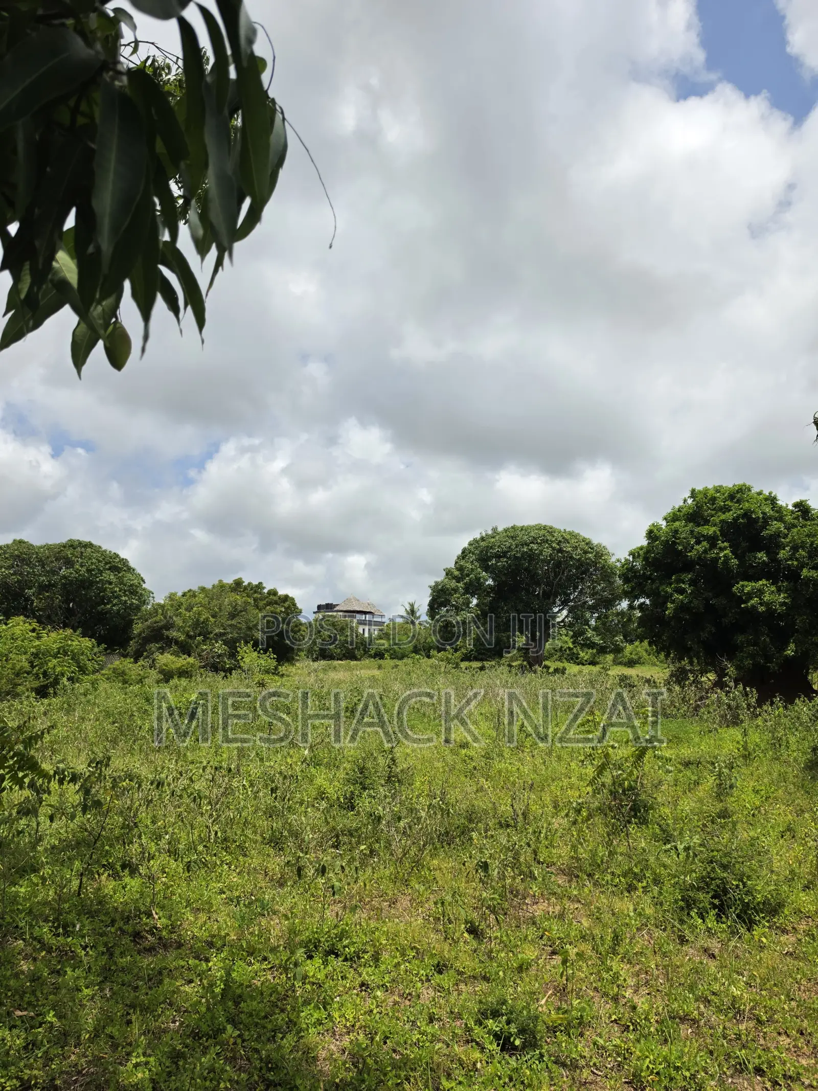 Malindi Kizingo ; 4 Acres.