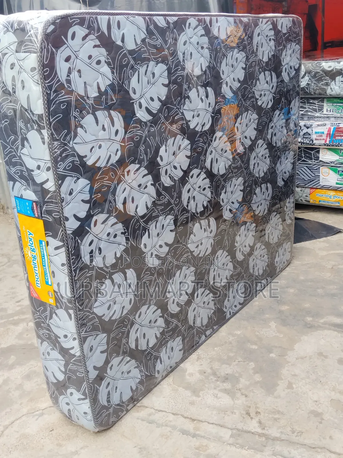 Morning Glory Perfect in Bed 5 by 6, 10 Quilted Mattress