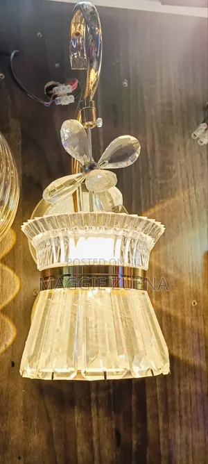 Hanging Led Wall Light
