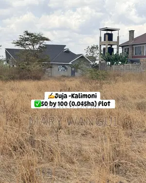 50 by 100 (0.045ha ) Plot Juja -Kalimoni