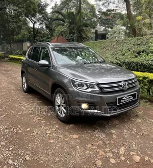 Volkswagen Tiguan 2014 Gray