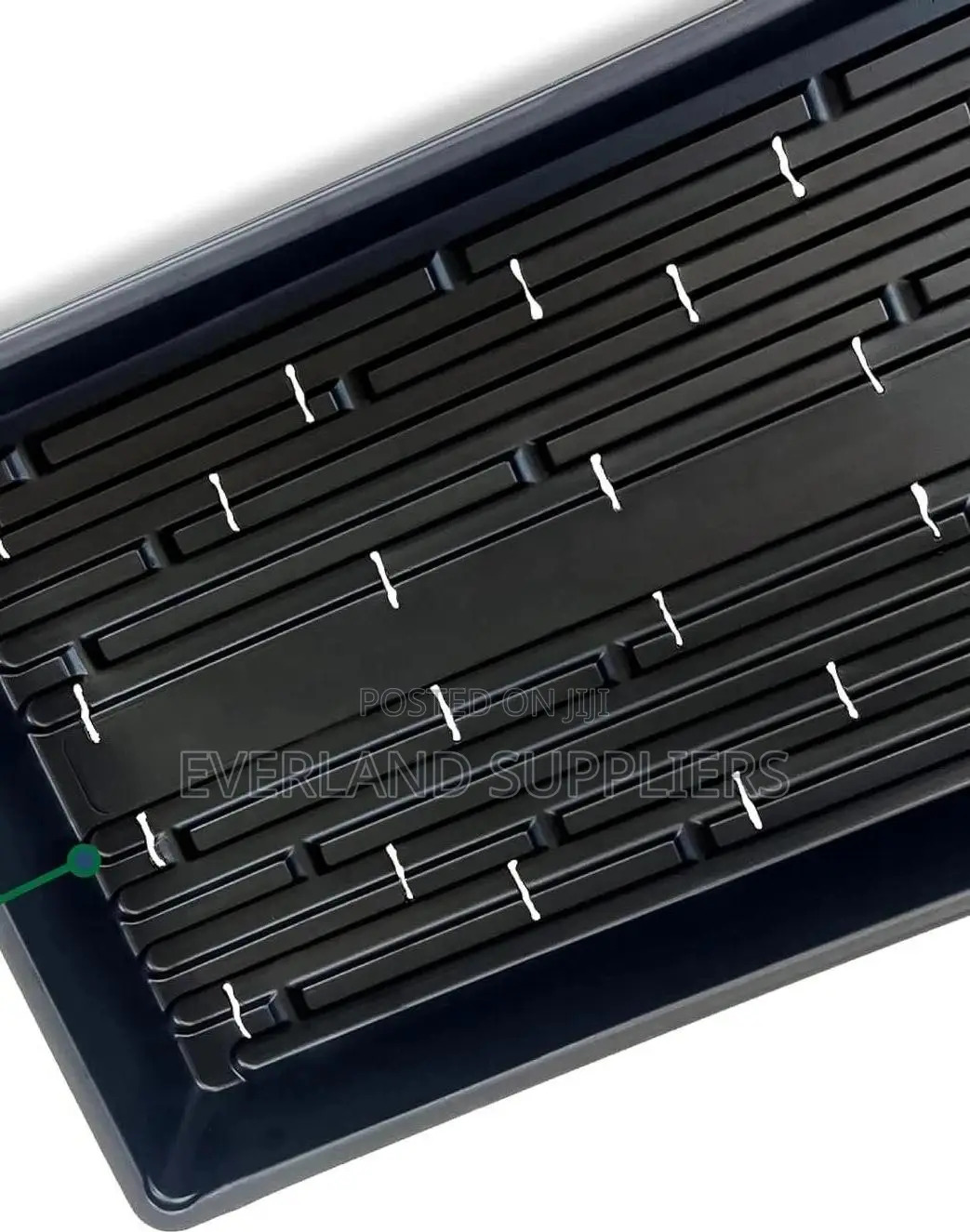 Affordable Hydroponic Growing Tray - With Holes
