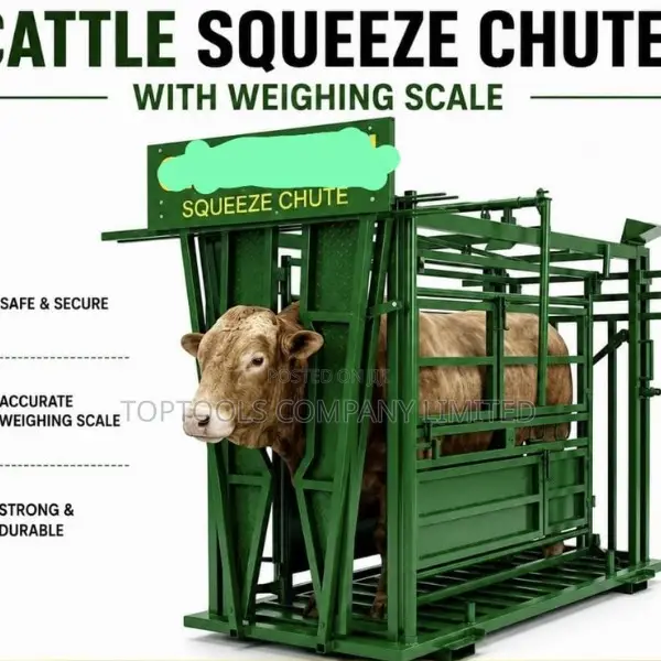 Cattle Squeeze Chute With Weighing Scale