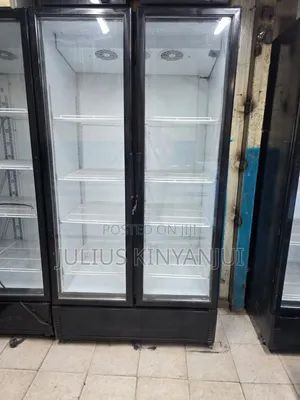 Classic Double Door Commercial Display Chiller 1800litrs