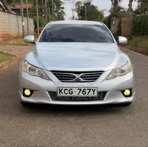 Toyota Mark X 2.5 AWD 2010 Silver
