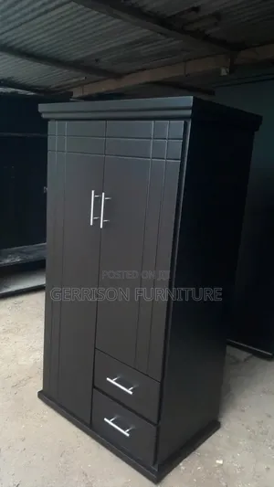Modern 2-Door Black Wooden Wardrobe With Bottom Drawers
