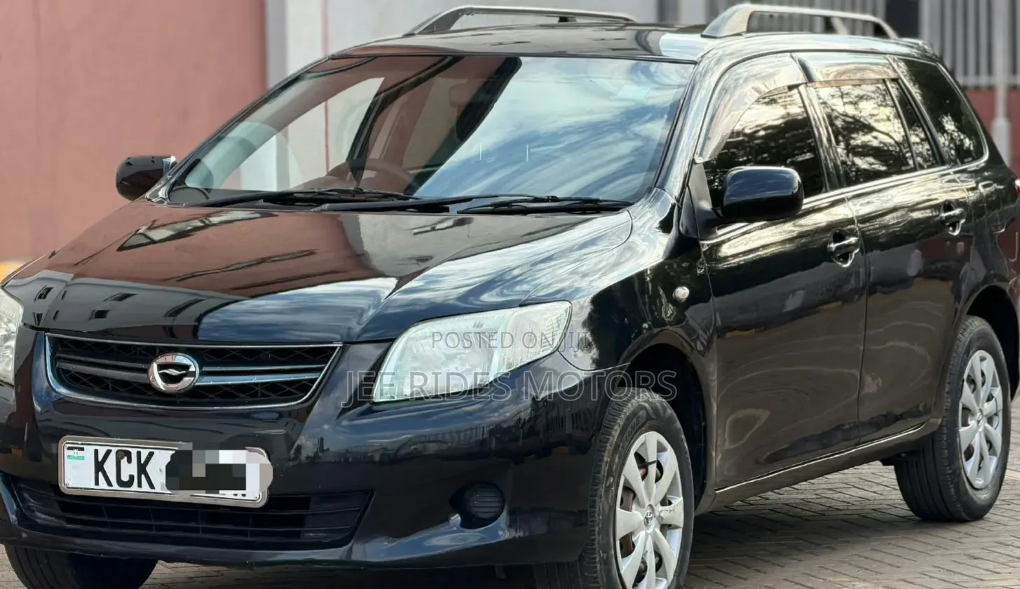 Toyota Corolla Fielder 2009 Matt Black