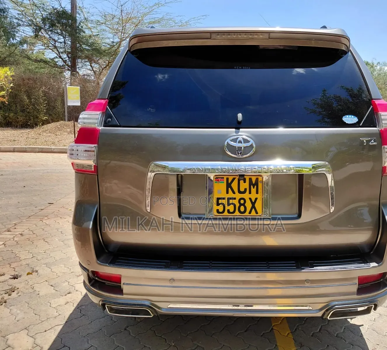Toyota Land Cruiser Prado 2010 Gray