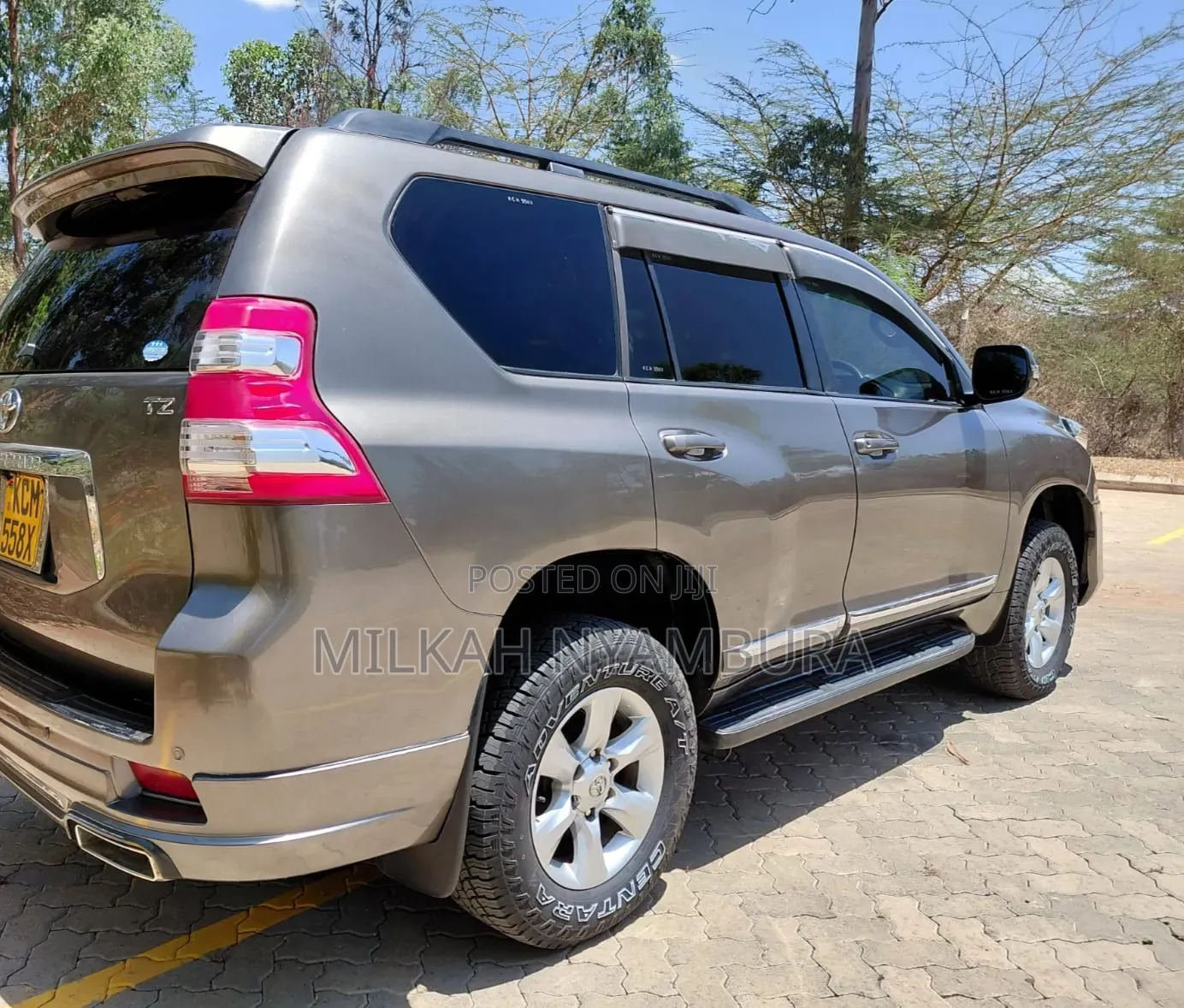 Toyota Land Cruiser Prado 2010 Gray