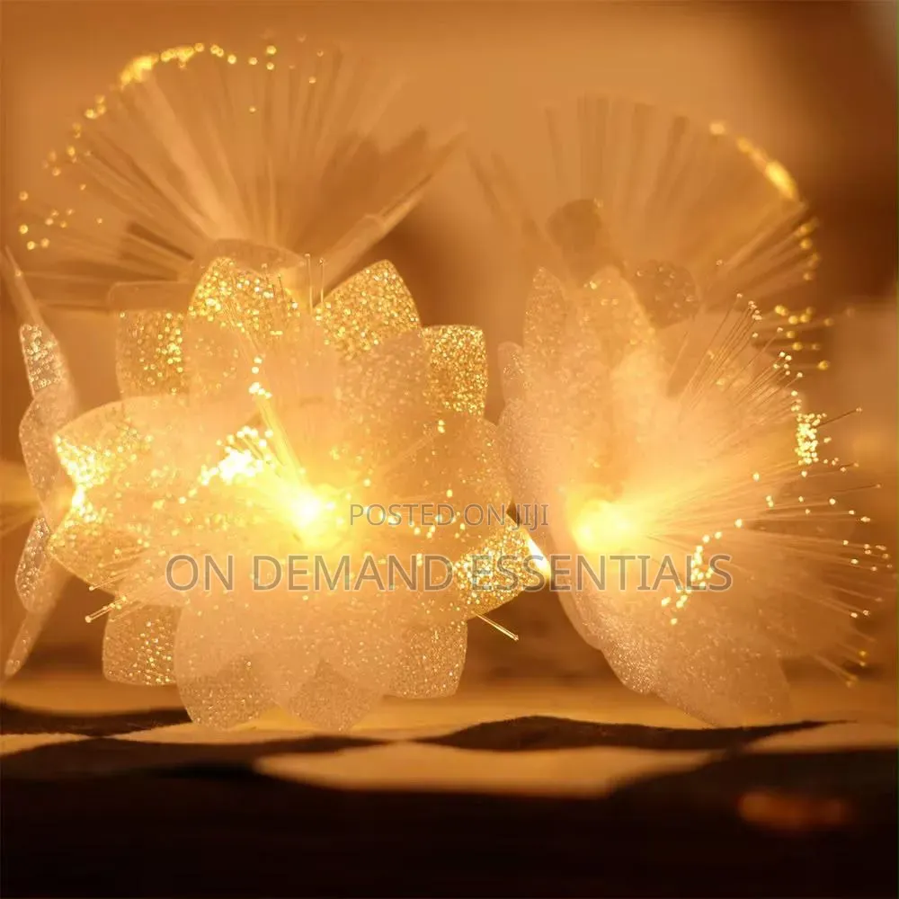LED Fiber Optic Dandelion Fairy Lights Size 10M