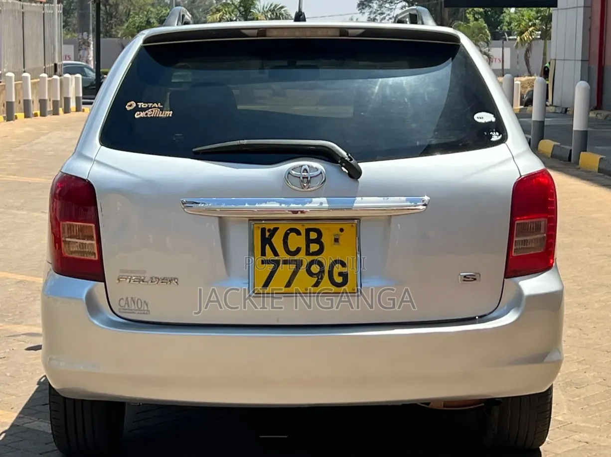 Toyota Corolla Fielder 2008 Silver
