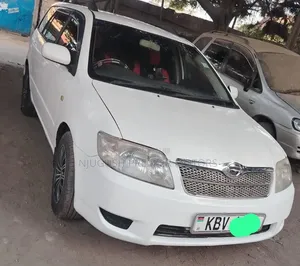 Toyota Corolla Fielder 2006 White