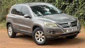 Volkswagen Tiguan 2009 Gold