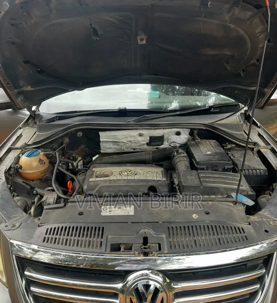 Volkswagen Tiguan 2009 Gold