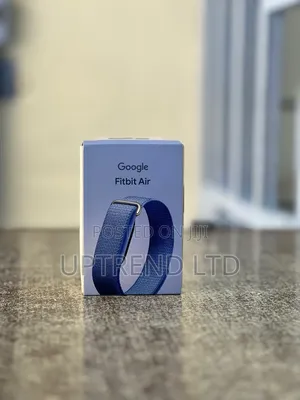 Google Fitbit Air