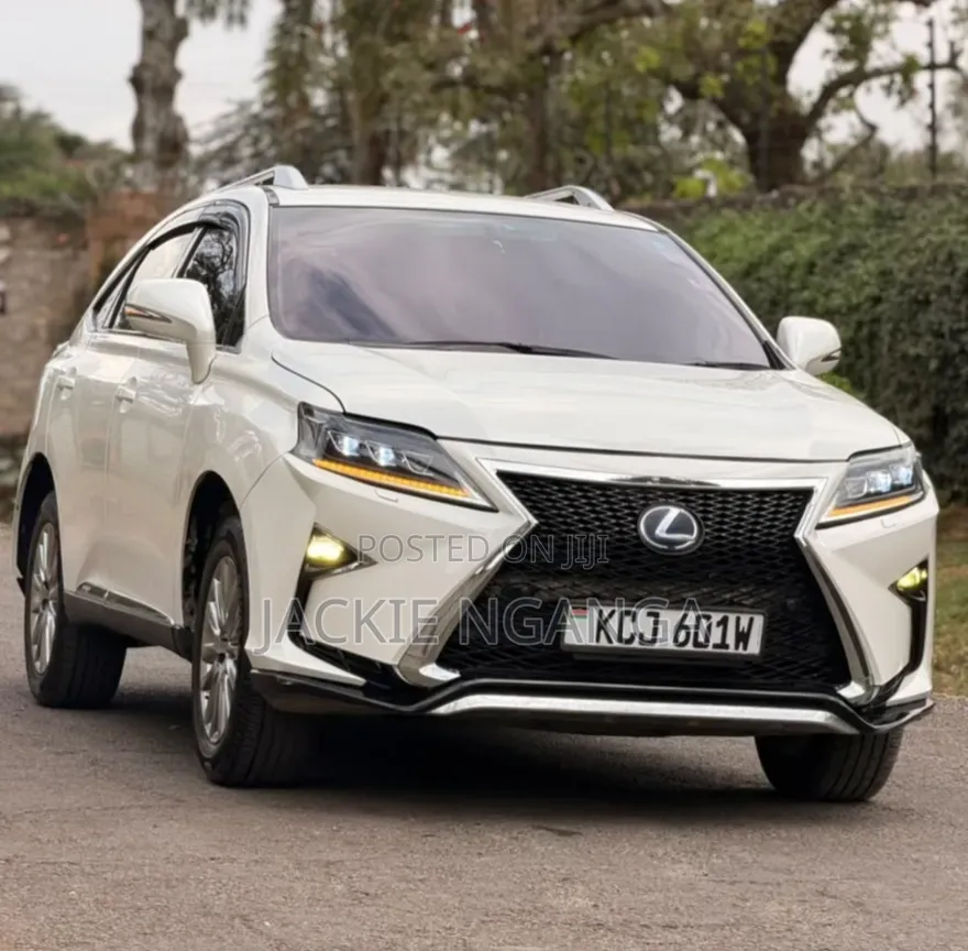 Lexus RX 2010 White