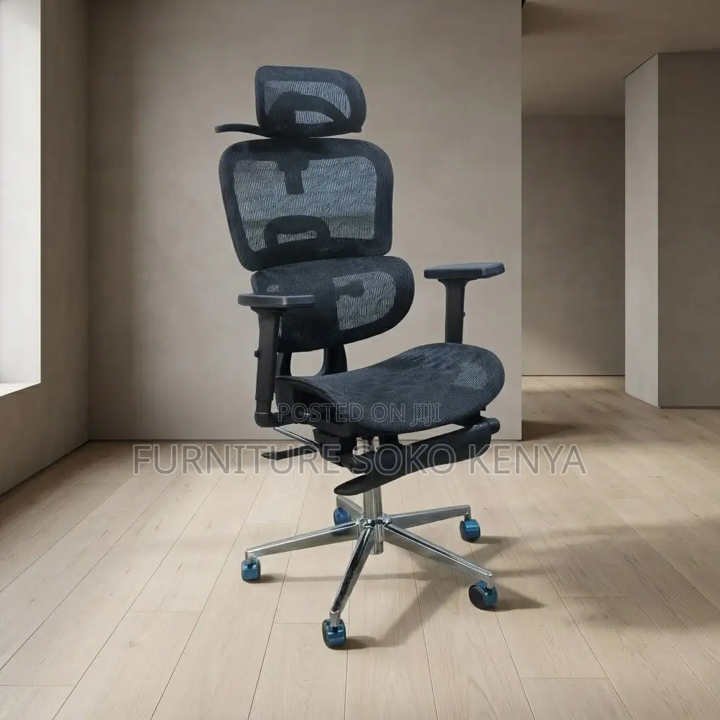 Executive Ergonomic Seat | Orthopedic Modern Black Chairs